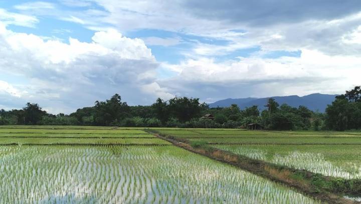 Wichouda Cottage Chiang Dao Ngoại thất bức ảnh